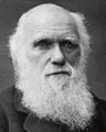 Κάρολος Δαρβίνος βιογραφικό