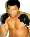 stupid Cassius Clay