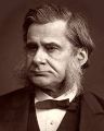 Thomas Huxley