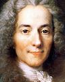 stupid voltaire