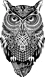 owl